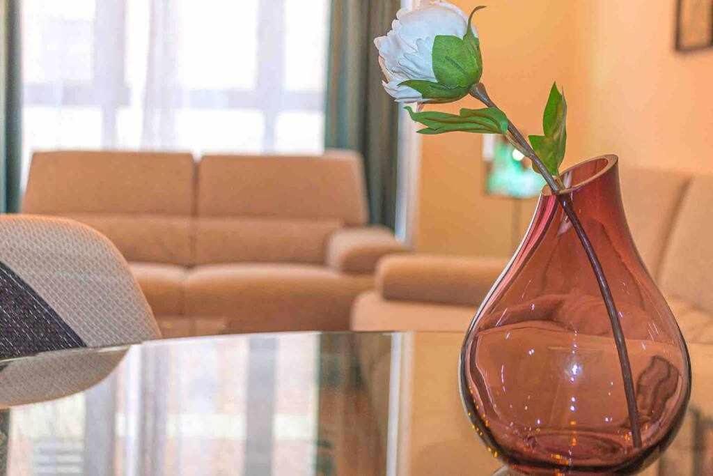Apartament House